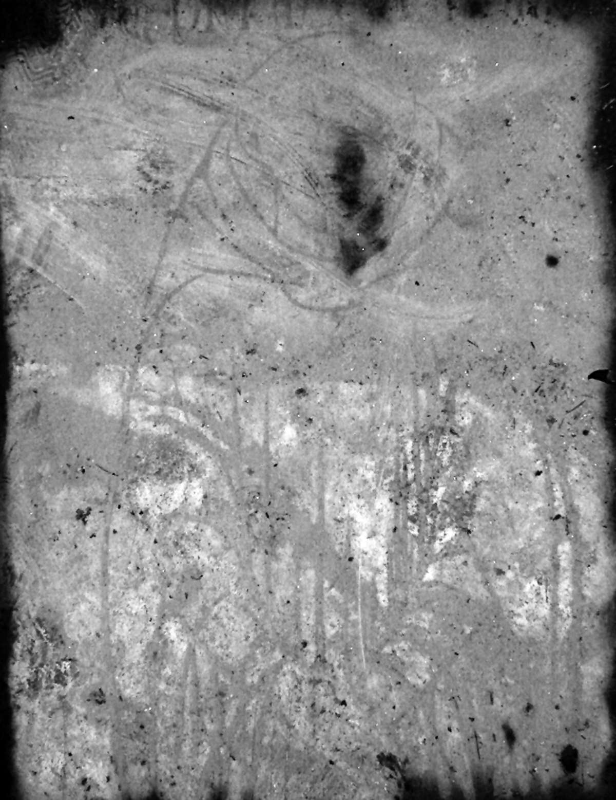 Bd_3_472.jpg